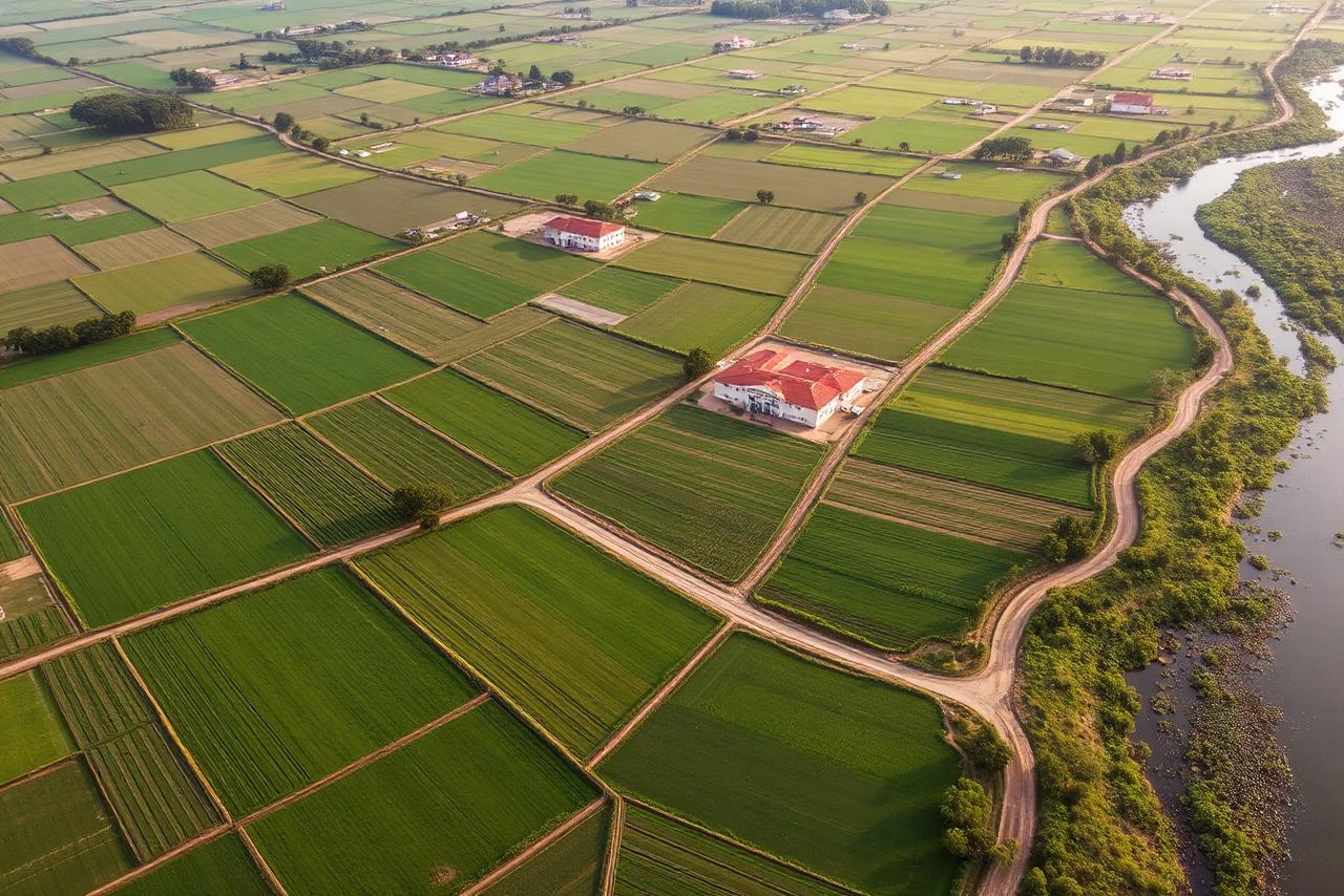 Vista aérea de propriedades rurais com divisas, estradas de terra e curso d'água